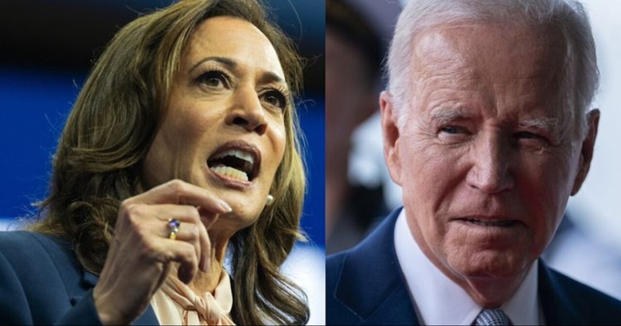 Biden-Harris Tensions Strain 2024 Campaign Efforts