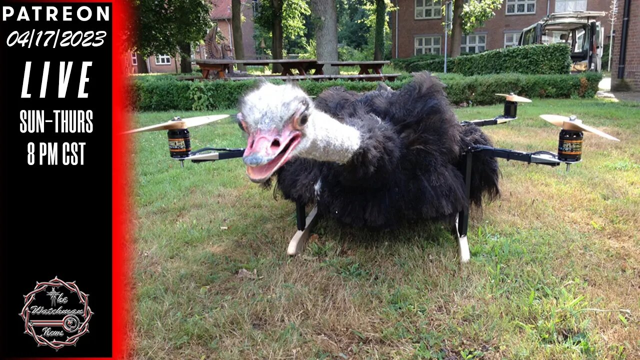 04/17/2023 The Watchman News - Scientists ‘Turning Dead Birds Into Drones’ - News & Headlines