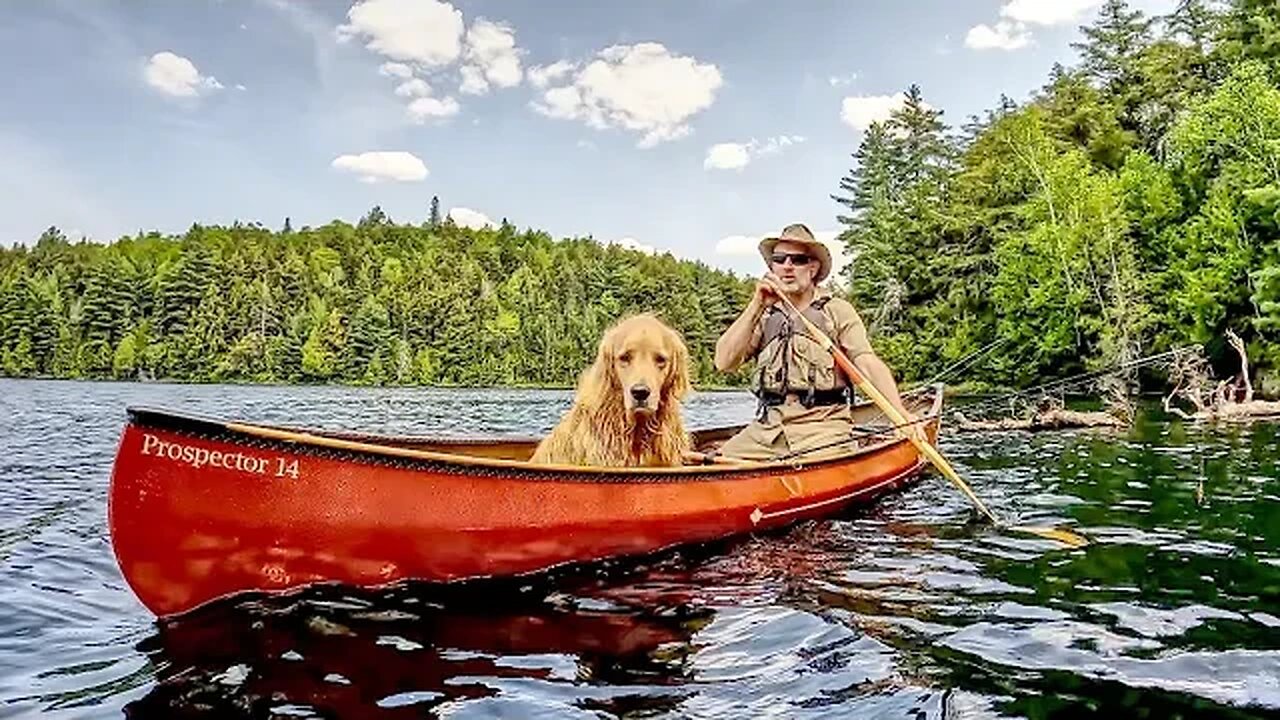 Growing Food in the Forest and Escaping the Mosquitoes and Blackflies on the Water