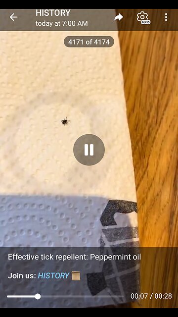 Documentary: Peppermint Oil versus Tick