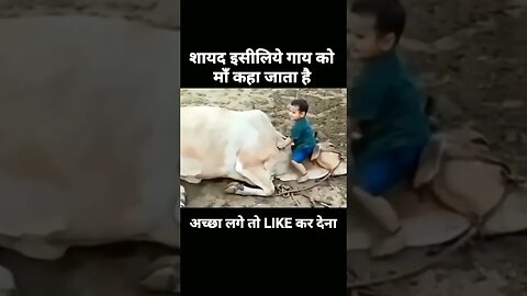 मां तो आखिर मां होती है #maa #shorts #viral #religion #trending