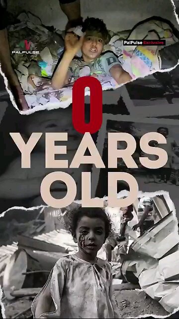 710 Palestinian Children were Killed Before Seeing Their First Birthday.