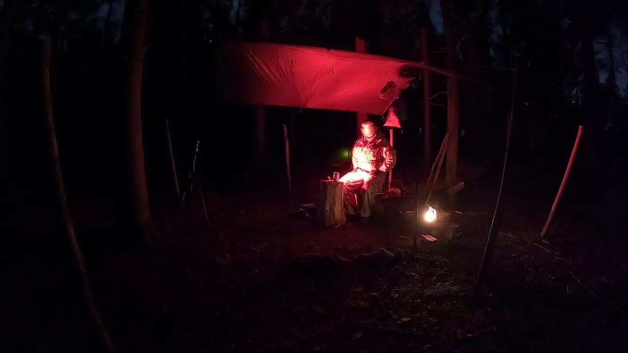 nightlapse. GoPro. woodland wildcamping. tarp. Jan 2022