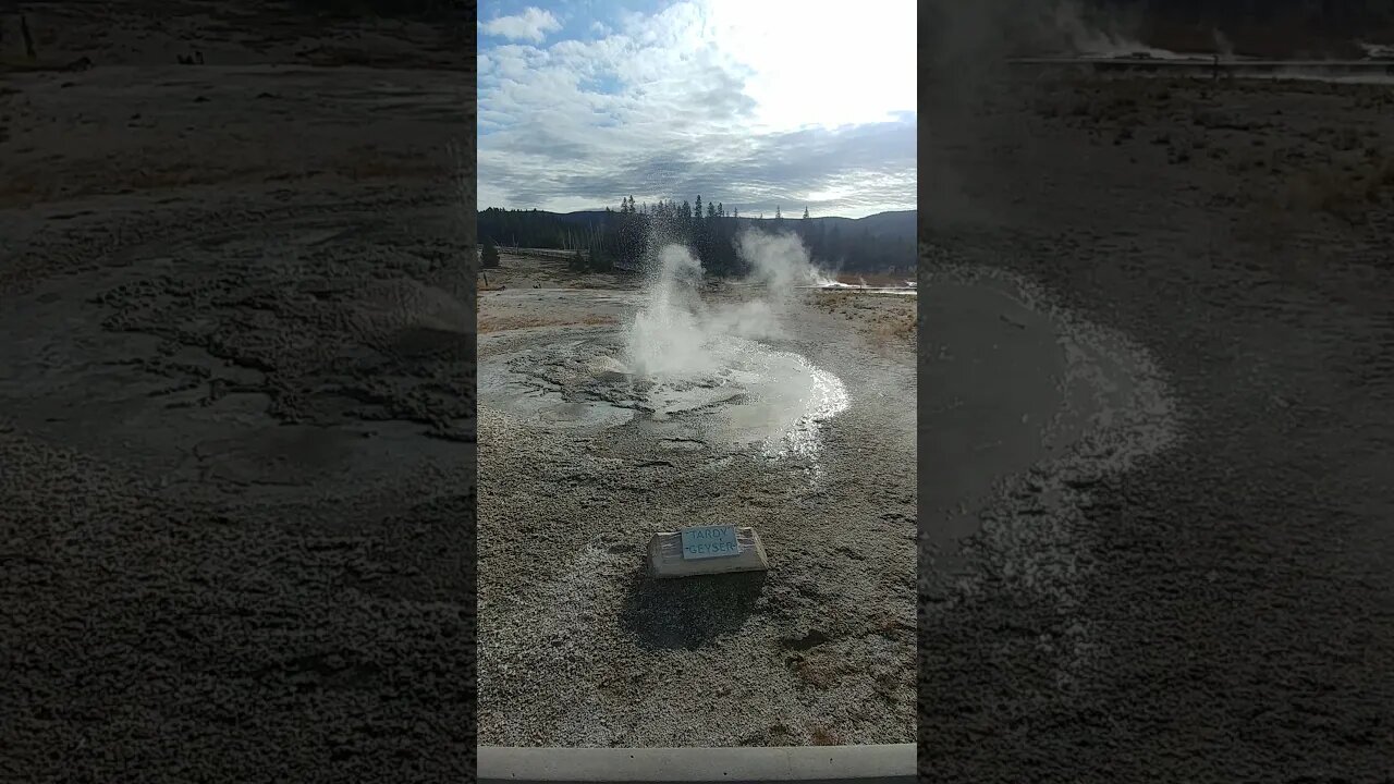 Tardy Geyser in Yellowstone National Park