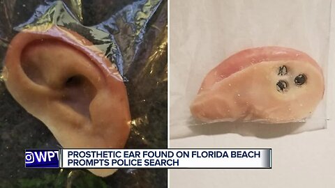 Owner sought after prosthetic ear found on Florida beach