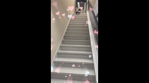 cute
