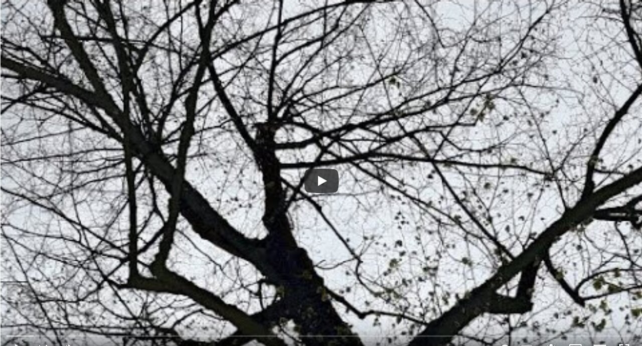 Mini Live Du 8 Avril