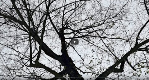 Mini Live Du 8 Avril