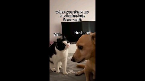 "Wife vs. Husband: The Ultimate Staredown 😂"**😆🤣😄