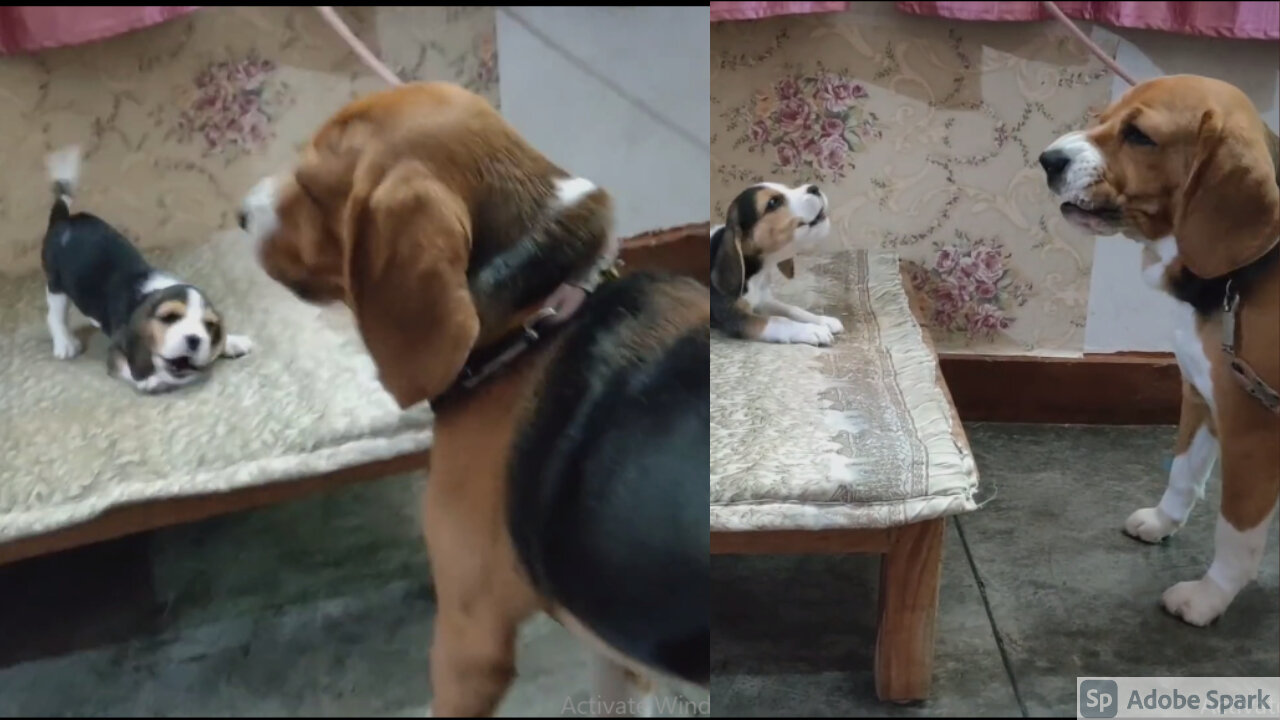 Deep conversation between father & daughter