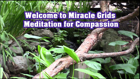 Compassion - Inner Peace meditation