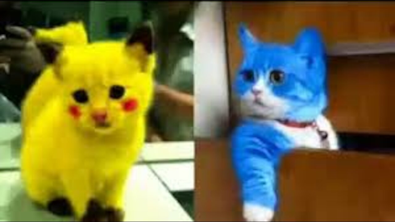 Baby Cats - Cute and Funny Cat Videos Compilation #19 | Raftel