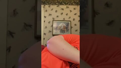 Snoring ASMR #shorts