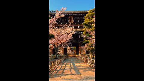 japanies Temple 🤩😍