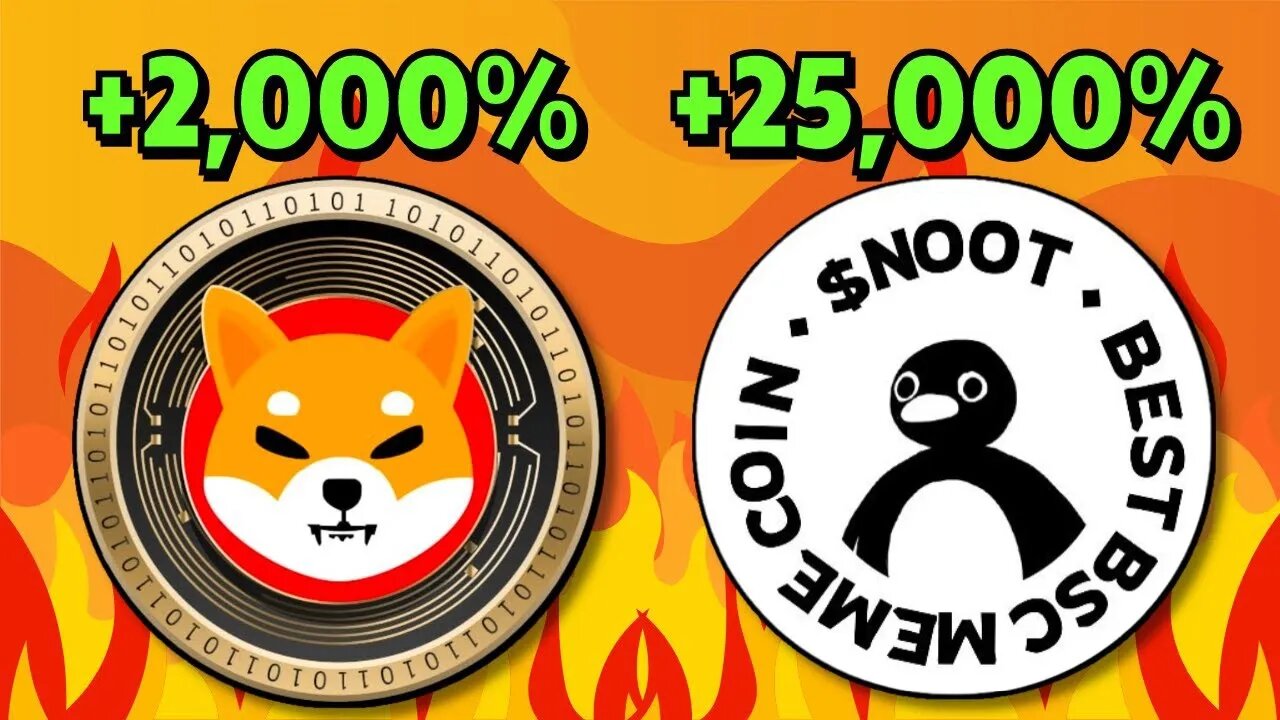 NOOT CRYPTO!! THE NEXT SHIBA INU WILL MAKE MILLIONAIRES!!