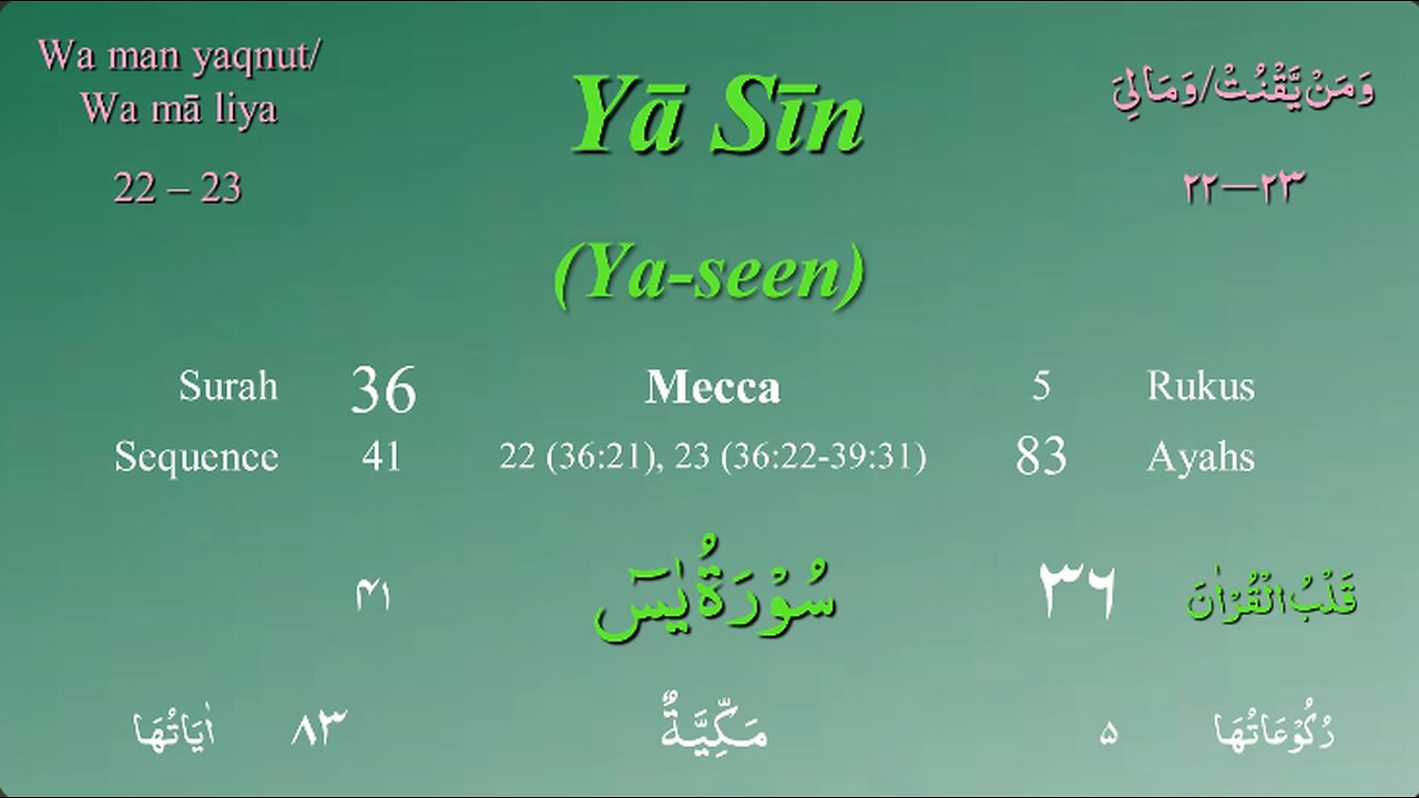 036 Surah Ya Seen by Mishary Al Afasy (iRecite)