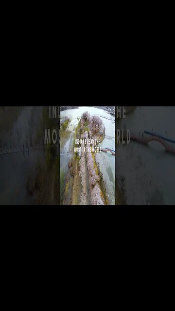 RANDOM FACTS! For The Curious Mind Vid #31 #Shorts #Facts #mindblowing #factsyouprobablydidntknow