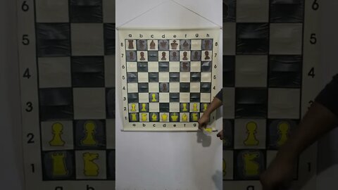 Chess Blooper 13