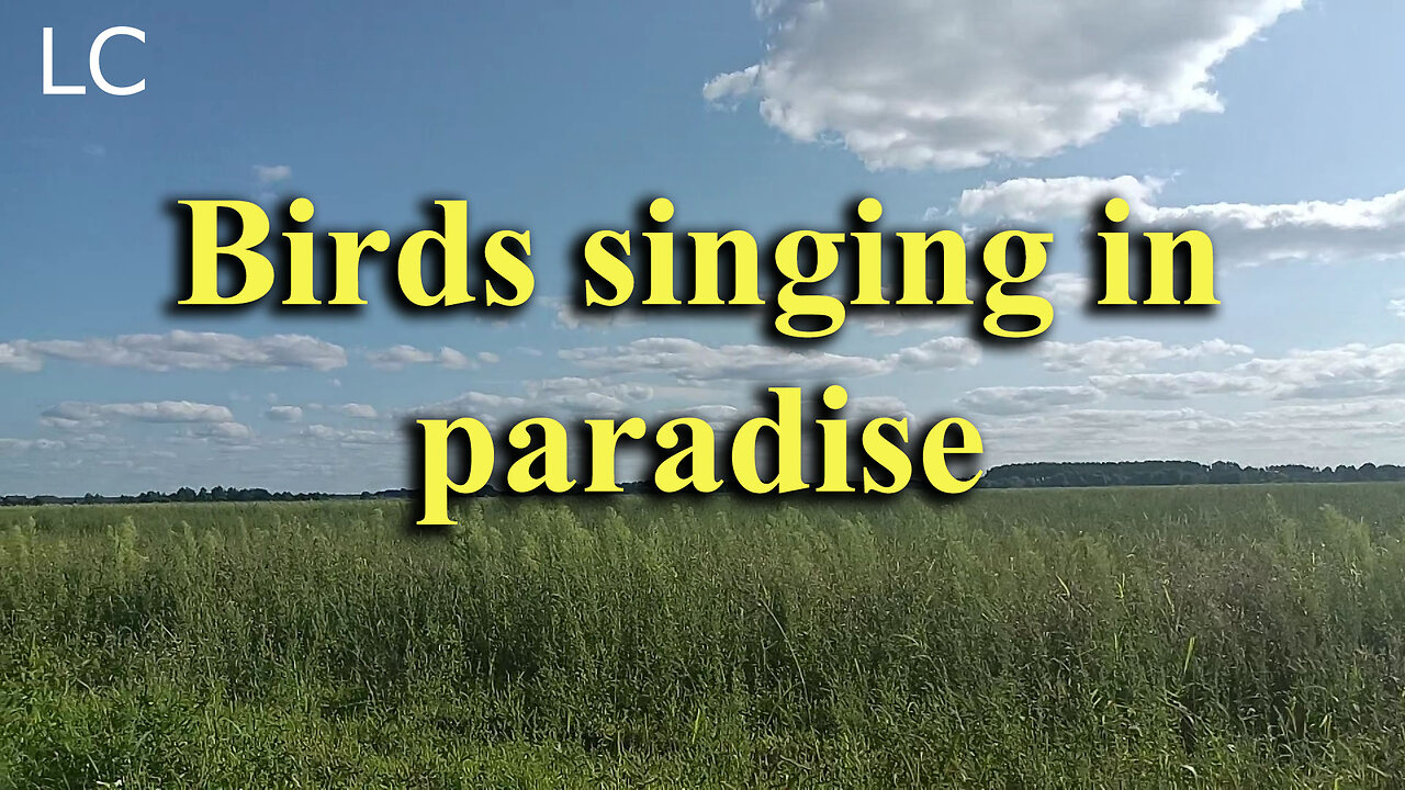 These sounds calm our mind and help us find inner balance.