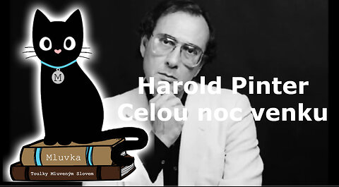 Harold Pinter - Celou noc venku (Mluvené slovo CZ)