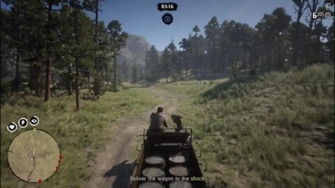 Red Dead Redemption 2 grand theft carriage