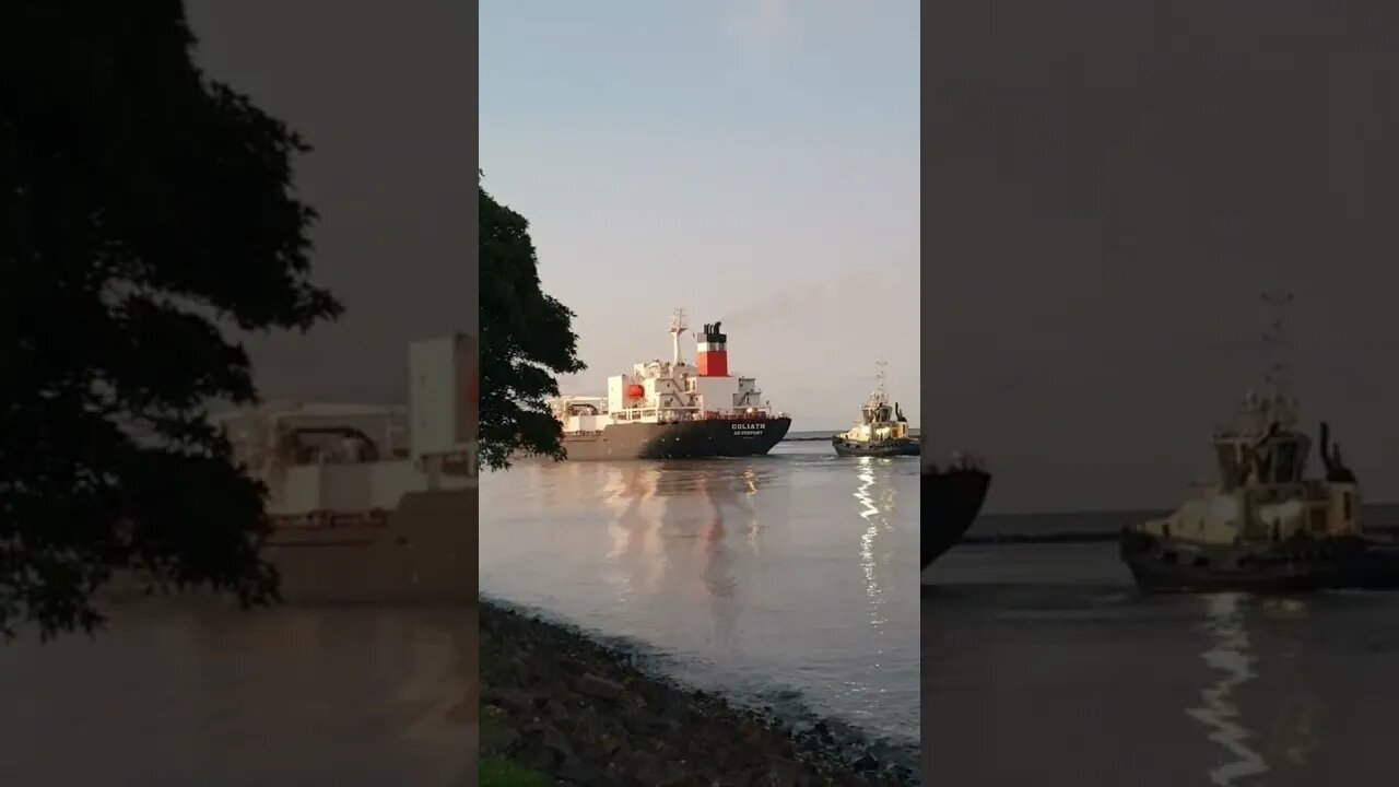 Tugboat Assisting Ship. #trending #lifeatsea #merchantnavy #ship #tuglife #shipping #tasmania #ocean