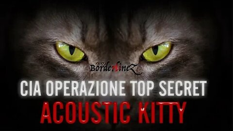 La CIA e l'OPERAZIONE ACOUSTIC KITTY, i crudeli esperimenti di controllo sui gatti spia