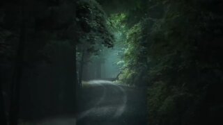 Músicas relaxantes, motivação, gratidão