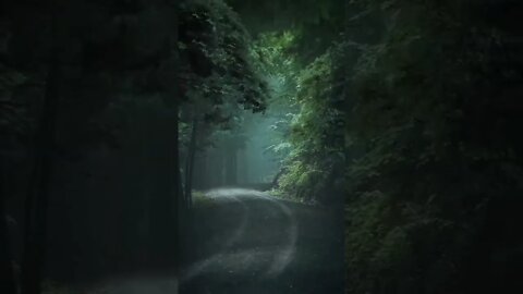Músicas relaxantes, motivação, gratidão