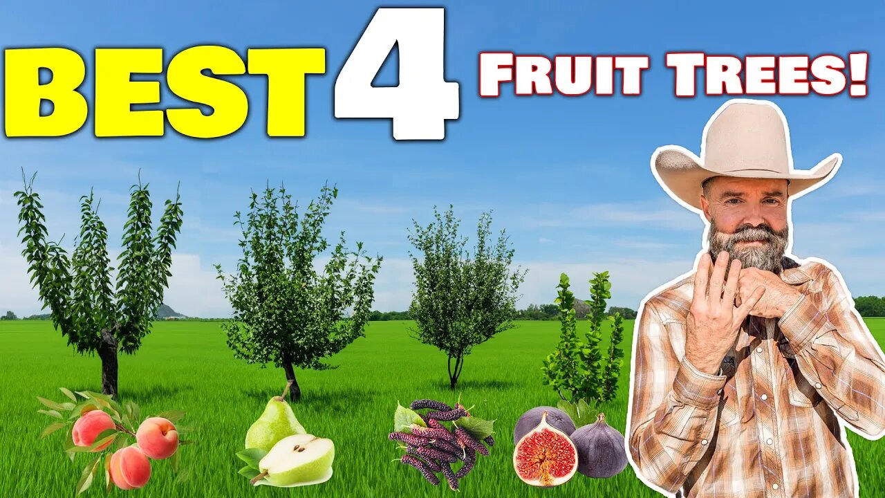 BEST 4 Fruit Trees YOU Need To Plant RIGHT NOW! • SURVIVAL ORCHARDS-Food 401K