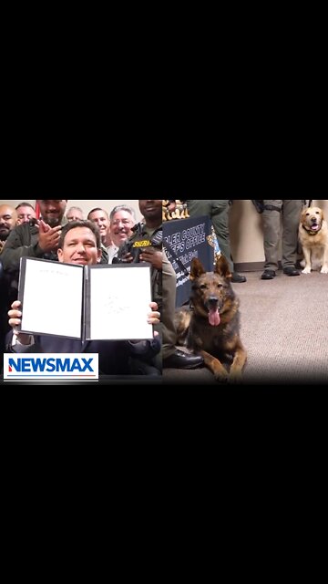 Ron DeSantis: We must recognize our K9's in law enforcement