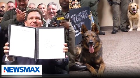 Ron DeSantis: We must recognize our K9's in law enforcement