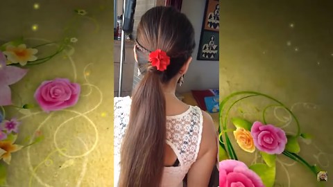 Peinado Recogido Con Trenzas