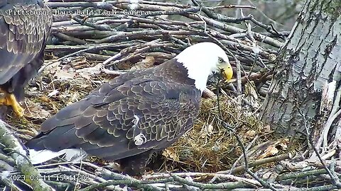 Hays Eagles Dad brings Mom a Mystery Meat Meal 31123 1540