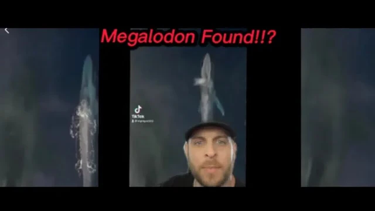 MEGALODON!!? caught on video by DRONE!!! #meg #megalodon #story #nightgod333 #nightgod #viral