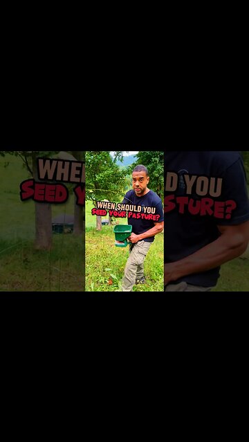 WHEN to seed your PASTURE? | #homesteader #garden #homestead #permaculture #farming #seeds #farmer