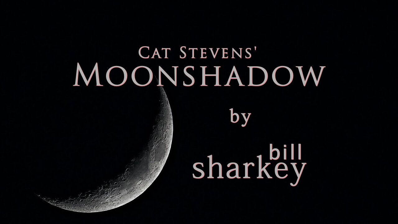 Moonshadow - Cat Stevens (cover-live by Bill Sharkey)