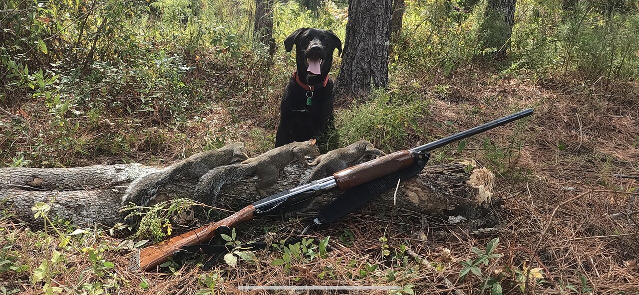 Solo Camping and Squirrel Hunting with my Dog