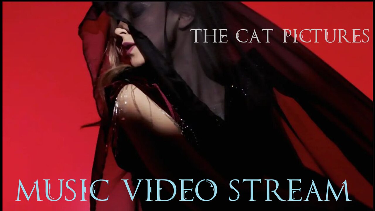 The Cat Pictures Music Video Stream