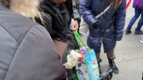 A Bird At The Protest