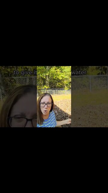 Planting Fall Onions