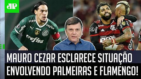 "ESSA É UMA ÓTIMA NOTÍCIA!" Mauro Cezar ESCLARECE situação antes de Palmeiras x Flamengo!