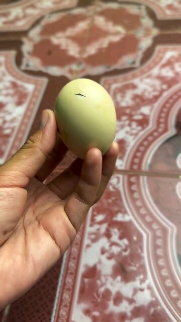 TOKYO ASMR MASSAGE 😍