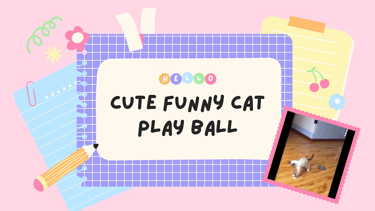 Cute funny cat play ball