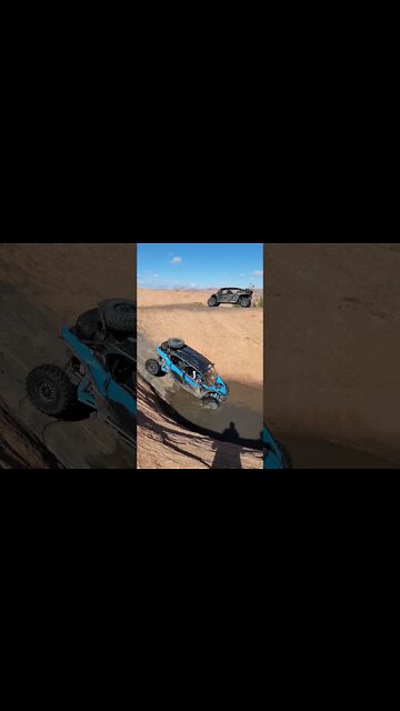 Congo line into the tub!