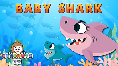 Baby Shark | Kids Songs and Nursery Rhymes | Kokonutz TV