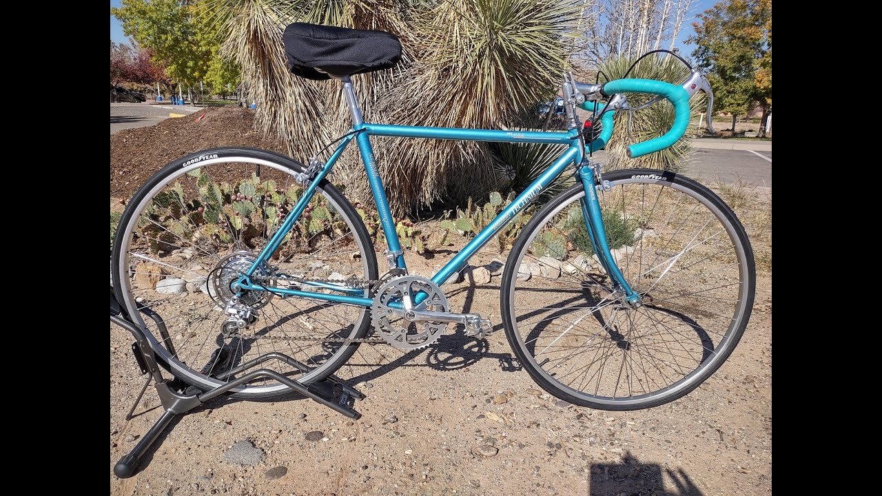 Vintage Raleigh Bicycle Restoration - Bosque Mobile Bicycle Repair