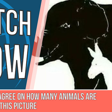 Try And Find These 16 Animals In The Picture