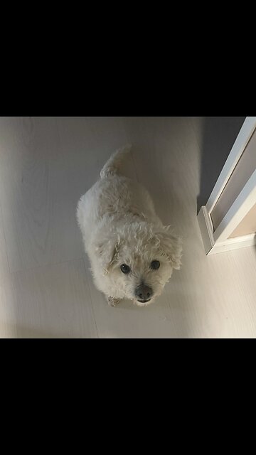 Barry White likes Carrots