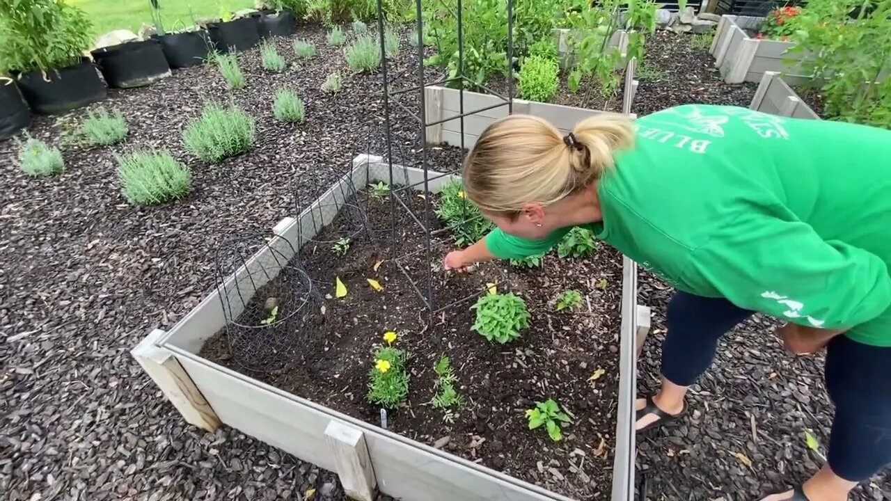 July Garden Tour - 2023